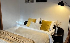 Cozy Apartment Near The Lviv National Opera